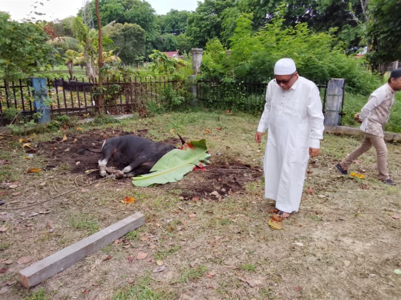 3 Sapi dan 2 Ekor Domba, Kurban Kantor Camat Dumai Timur Idul Adha 1447 H/2026 M