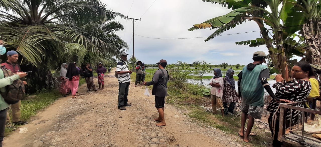 Diintimidasi dan Tanaman Dirusak, Buruh Tani Paluh Kurau Bersyukur Pelaku Sudah Ditangkap