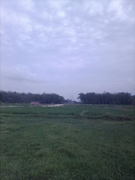 Aktivitas Galian Tanah Urug di Kebun Lada Langkat Bebas Beroperasi, Warga Keluhkan Debu dan Jalan Rusak