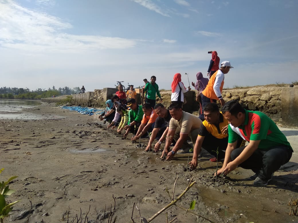 Forkopimcam Teluk Mengkudu Tanam Bibit Mangrove di Pantai Sialang Buah