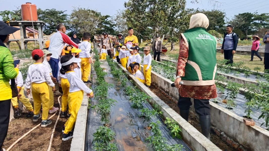 Kunjungan Tk Kemala Bhayangkari Ke Kawasan Agro Eduwisata Pertanian Terpadu, Ajak Anak-anak Kenali Dunia Pertanian