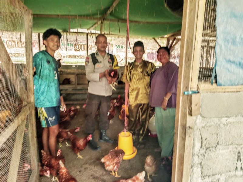 Dorong Swasembada Pangan, Kapolsek Batang Cenaku Tinjau Usaha Ternak Ayam Petelur BUMDes Kepayang Sari
