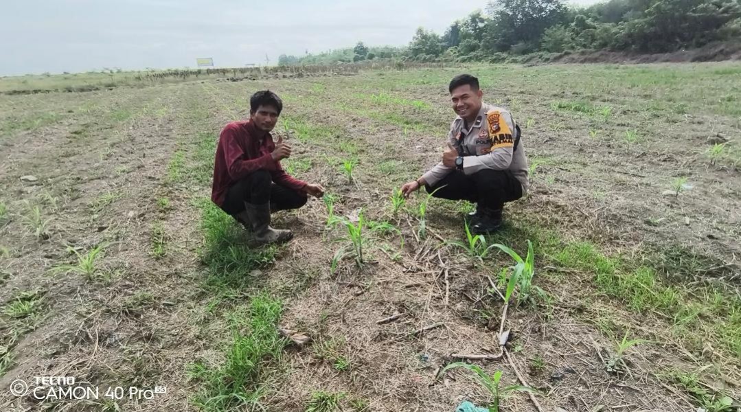 Bhabinkamtibmas Mundam Sambangi Lahan Tanaman Jagung, Dukung Ketahanan Pangan Nasional