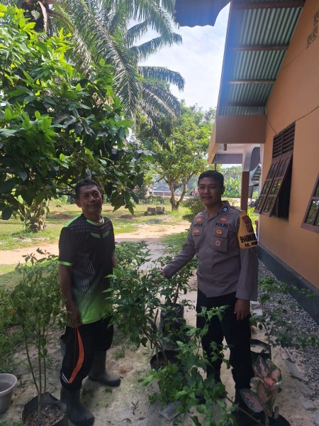 Bhabinkamtibmas Kelurahan Guntung Sambangi Kebun Cabai Milik Bapak Roni, Jaga Pasokan Komoditas Penting Masyarakat