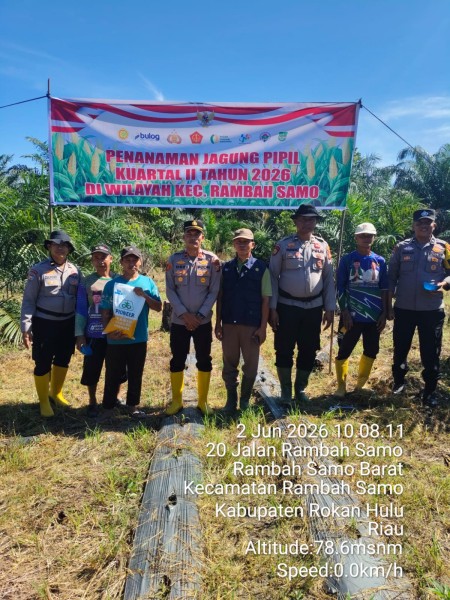 Kapolsek Rambah Samo Pantau Lahan Jagung H+1: Ketahanan Pangan Itu Maraton