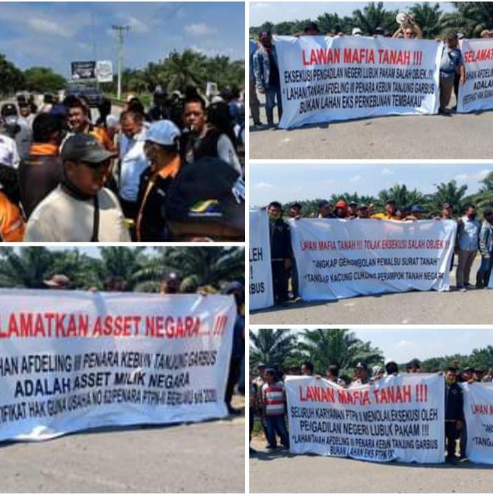 PTP Nusantara 2 Pertahankan HGU 62 Penara Kebun Tanjung Garbus