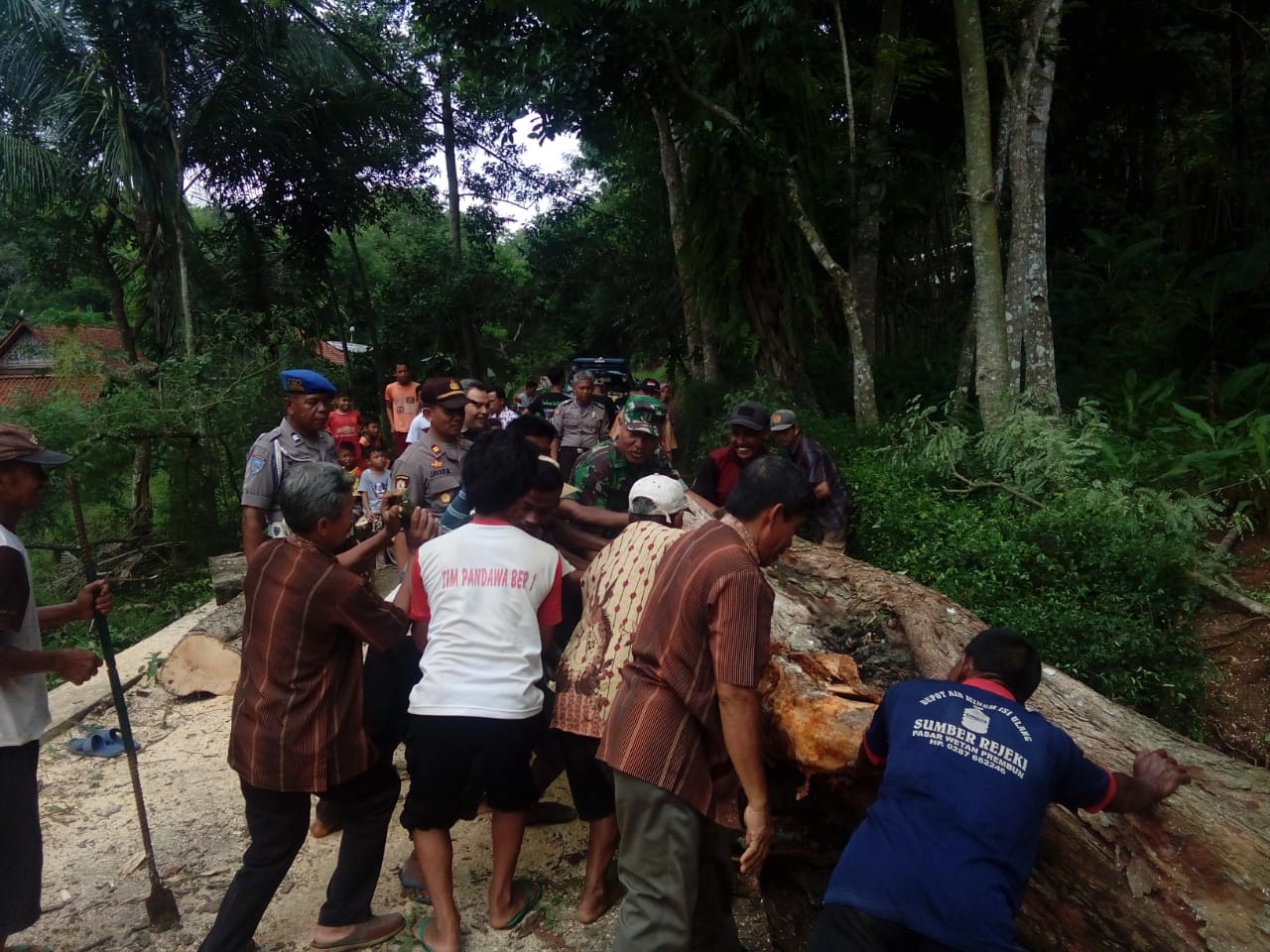 Danpos Padureso dan Warga  Evakuasi Pohon Tumbang