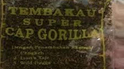 Kasatres Narkoba Polres Purwakarta Ungkap Bahayanya Tembakau Gorila