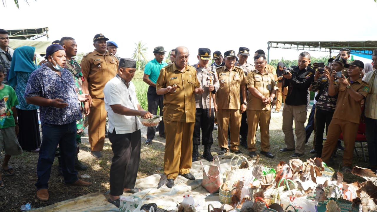 Afandin Hadiri Tradisi Jamu Sawah, Warga Selotong Minta Dibangunkan Irigasi