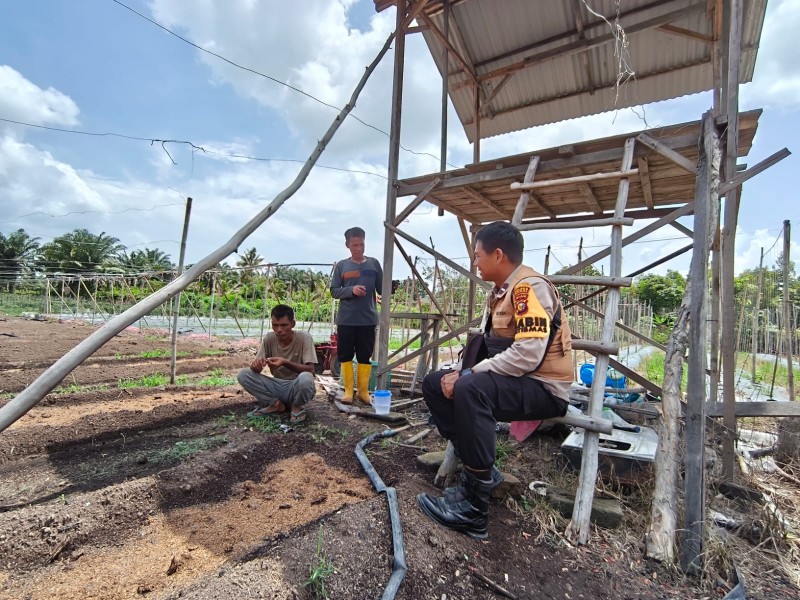 BHABINKAMTIBMAS bersama Petani Lakukan Pengecekan Perkarangan Pangan Bergizi Di Kelurahan Mundam Dumai