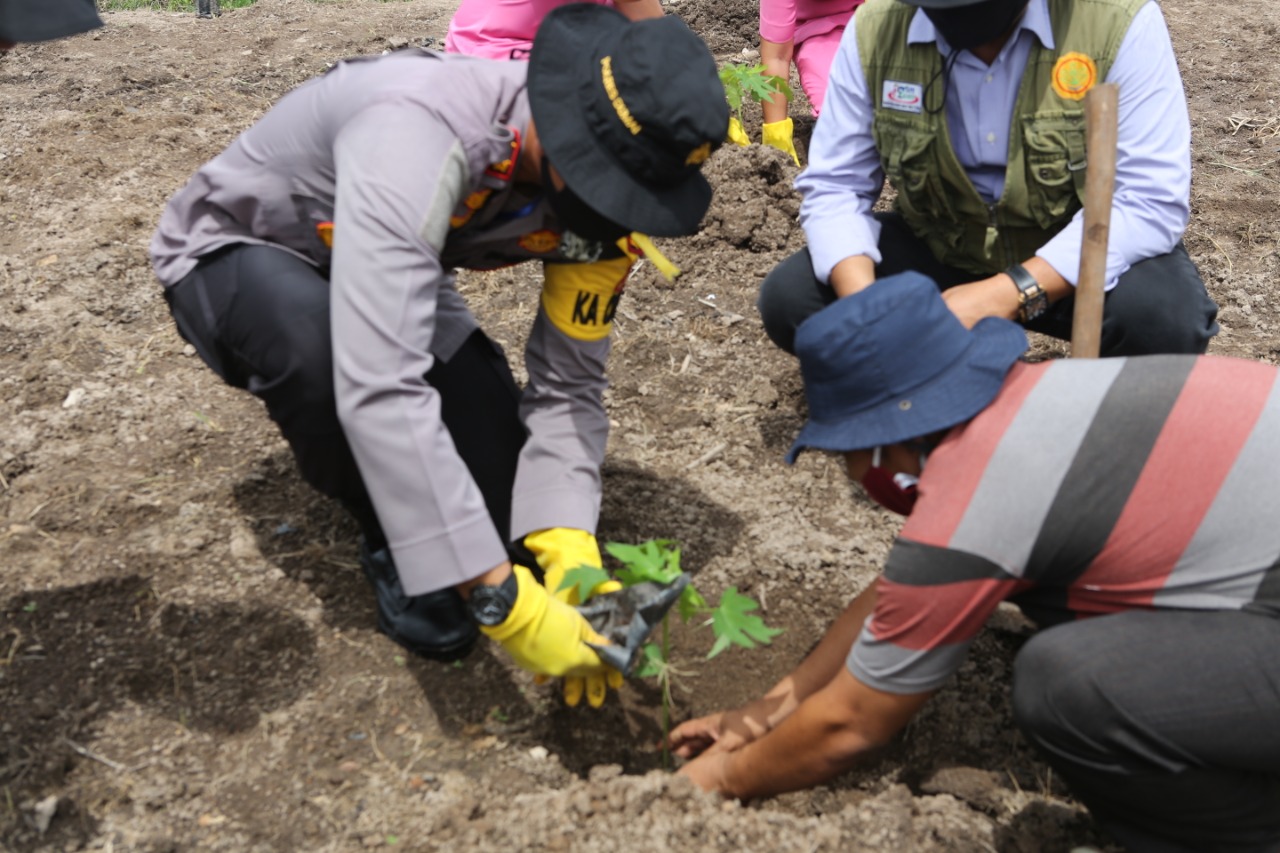 Polres Dumai Tanam Palawija Untuk Ketahanan Pangan