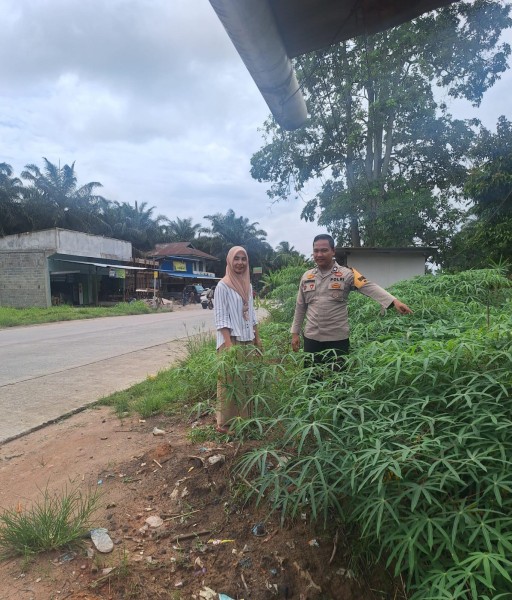 Bhabinkamtibmas Kelurahan Guntung Sambangi Petani Ubi, Dukung Ketahanan Pangan Nasional
