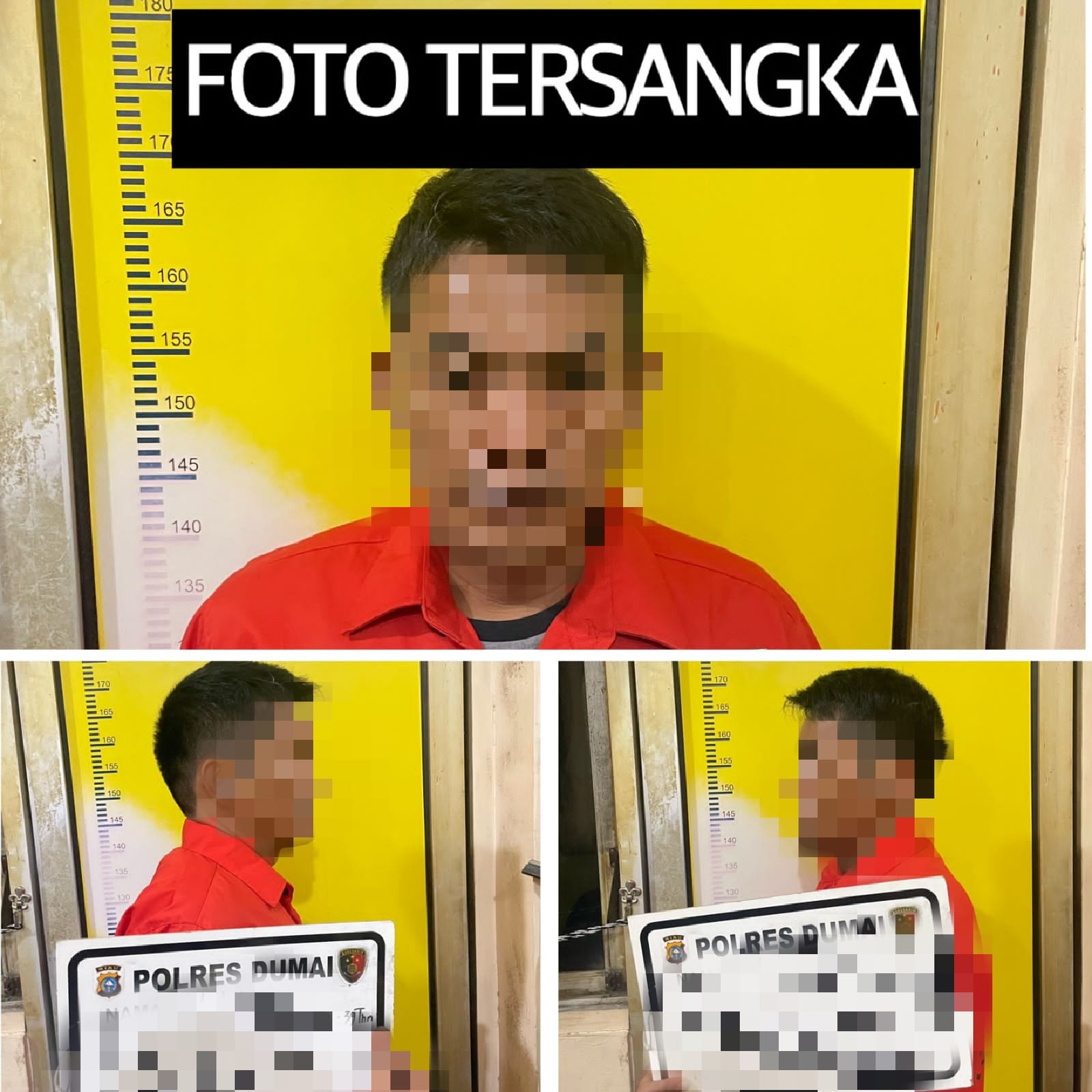 Pulaknya Ibu dan Anak Dianiaya, AN Mantan Suami Akhirnya Meringkuk di Sel Polres Dumai