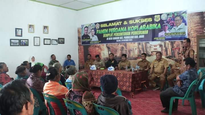 Karang Taruna Sumut dan Pemkab Dairi Panen Perdana Kopi Arabika di Demplot Percontohan Desa Bangun