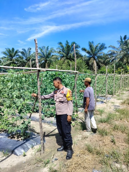 Bhabinkamtibmas Kelurahan Gurun Panjang Cek Perkarangaj Pangan Bergizi Nasional