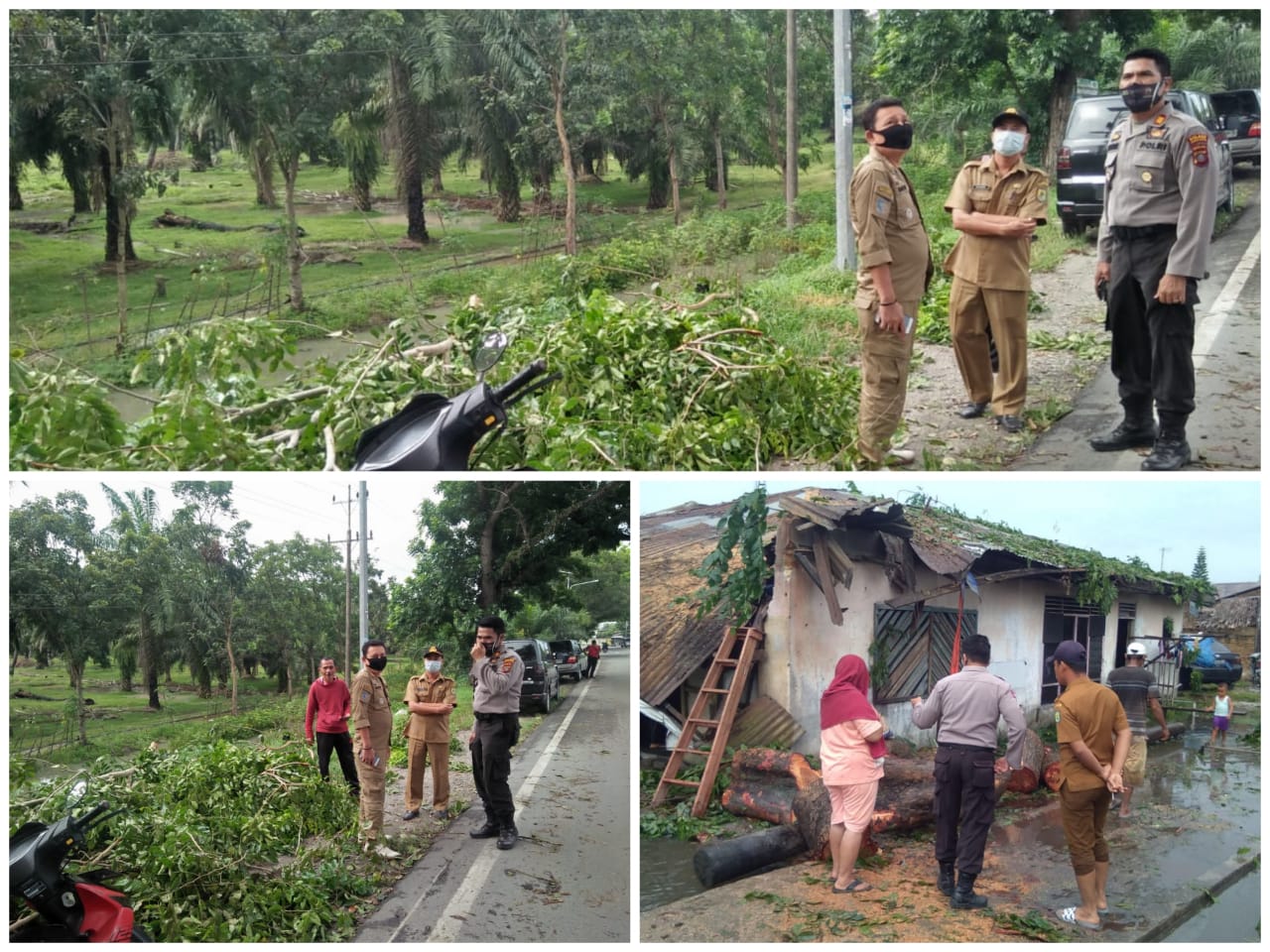 1 Unit Rumah Milik Warga Tertimpa Pohon Tumbang 