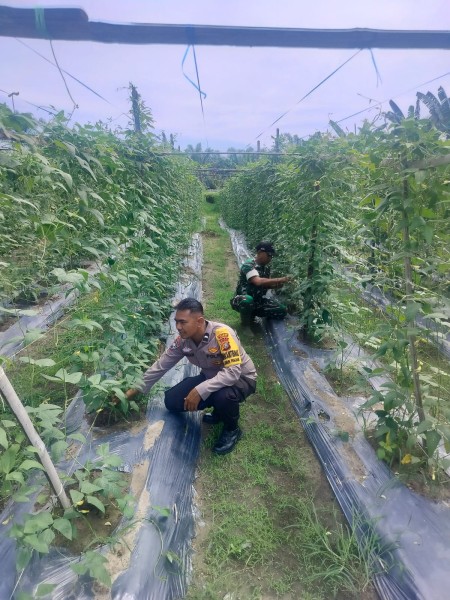 Bhabitkatimas Kelurahan Gurun Panjang Cek Pekarangan Pangan Bergizi Dukung  Ketahanan Pangan Nasional