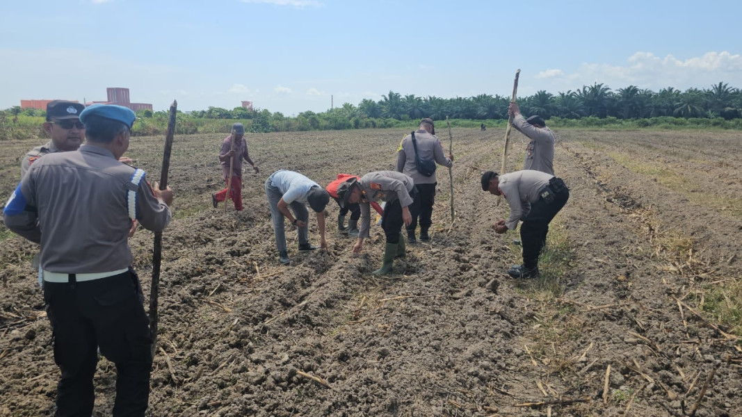 Polsek Sungai Sembilan Giat Program Ketahanan Pangan