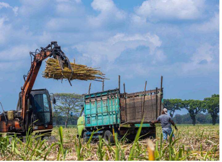 2024, PTPN I Regional 4 Targetkan Produktivitas Capai 100 Ton/Ha