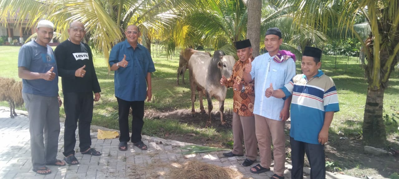 Plt Bupati Langkat & Keluarga Berqurban 7 Ekor Sapi