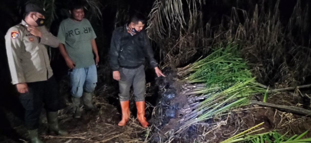 Lahan Masyarakat Dusun Sirahu Desa Selat Beting Panai Tengah terbakar lebih kurang 20 Ha.