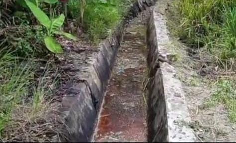 Dapur MBG Dusun Empat Desa Sukajadi Tanjung Beringin Buang Limbah Kesaluran Irigasi Perkebunan Warga