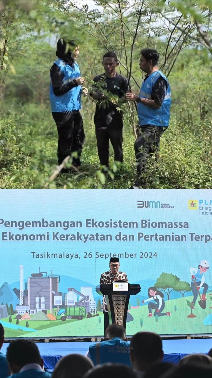 Pengembangan Biomassa PLN di Tasikmalaya Dikelola Masyarakat, Didukung Pemerintah