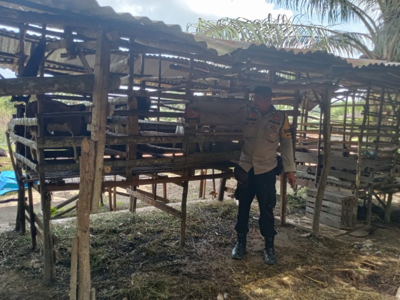 Polsek Medang Kampai Pantau Kandang Kambing Poktan PAIMUN Wujud Dukungan Ketahanan Pangan Nasional