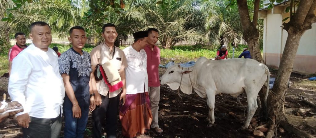 PTPN-IV Kebun Panai Jaya potong hewan Qurban 6 ekor sapi dan 1 ekor Kambing