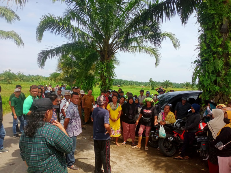 Modus Bergotong Royong, Poktan Mekar Jaya Diduga Malah Merusak Tanaman Warga