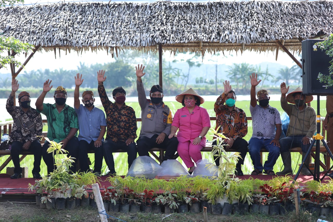 Resmikan Kampung Paten, Kapolda Sumut Bantu Bibit Ikan, Pupuk dan Fasilitas Cegah Covid-19