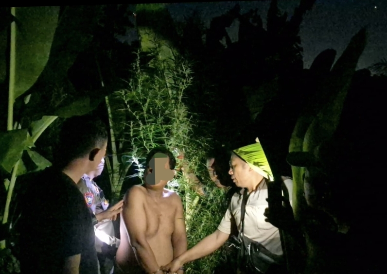 Temukan Tanaman Ganja, Polsek Tanjung Morawa Polresta Deli Serdang Amankan Pelaku