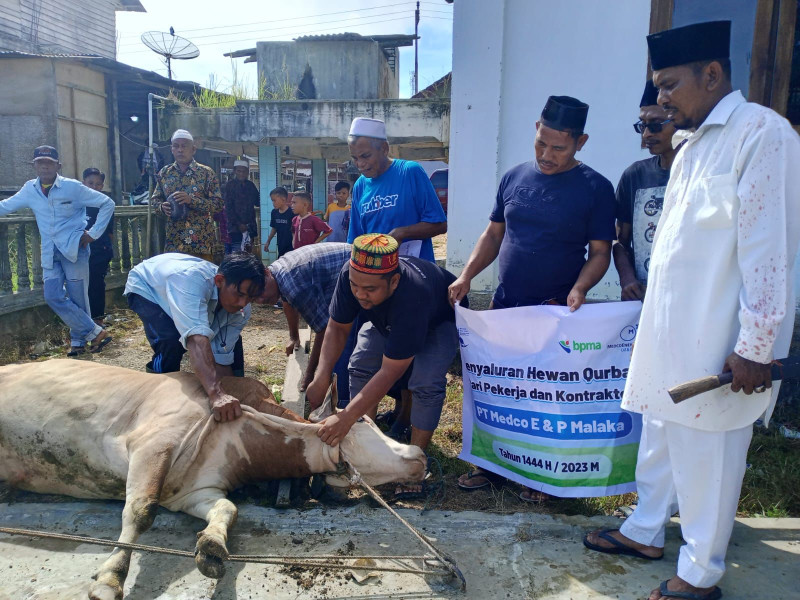 Medco E&P Malaka Serahkan Puluhan Hewan Qurban Untuk Desa Sekitar Area Operasi