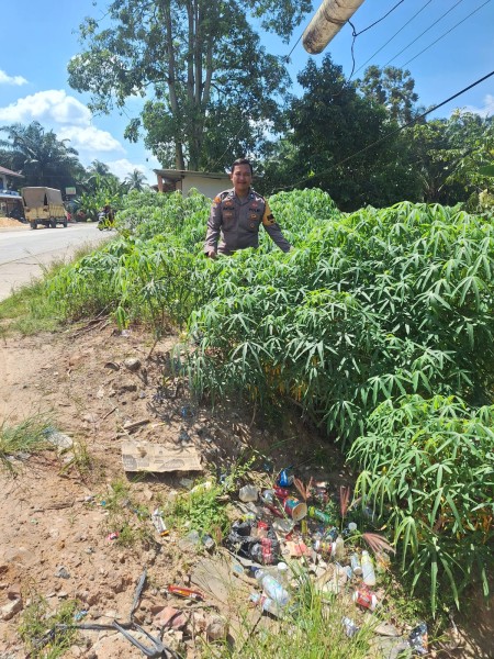 Bhabinkamtibmas Kelurahan Guntung Sambangi Petani Ubi, Perkuat Ketersediaan Pangan Lokal