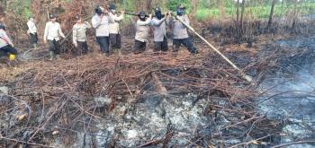 Awal Tahun 2019, 55 Hektare Lahan Riau Terbakar