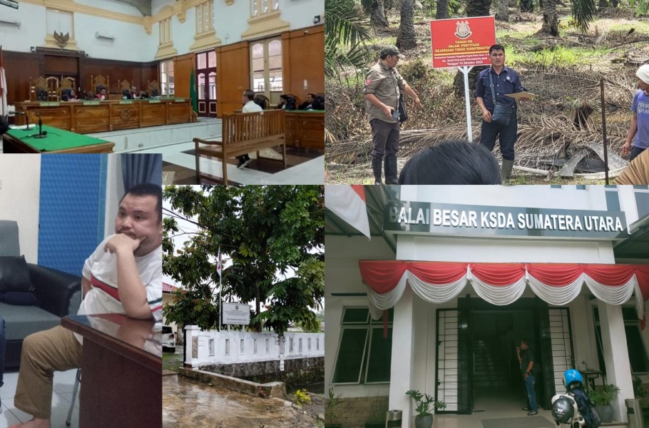 FKSM Sumut : Usut Dugaan Jebol 130 Miliar Lebih Atas Pemanenan 210 Ha Kebun Sawit Sitaan Kejati Sumut , BKSDA Sumut Ngaku Tak Pernah Lapor APH