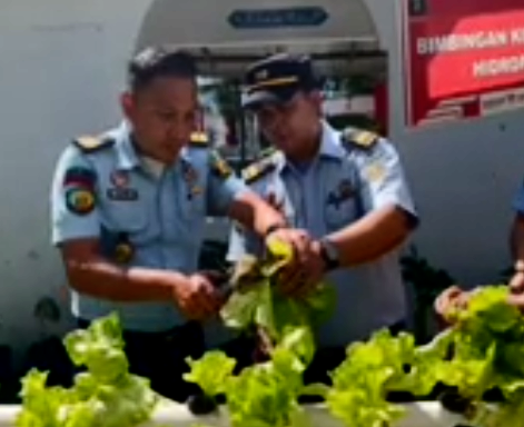 Rutan Kelas I Medan Kanwil Kemenkumham Sumut Panen Sayuran Selada dengan Sistem Hidroponik