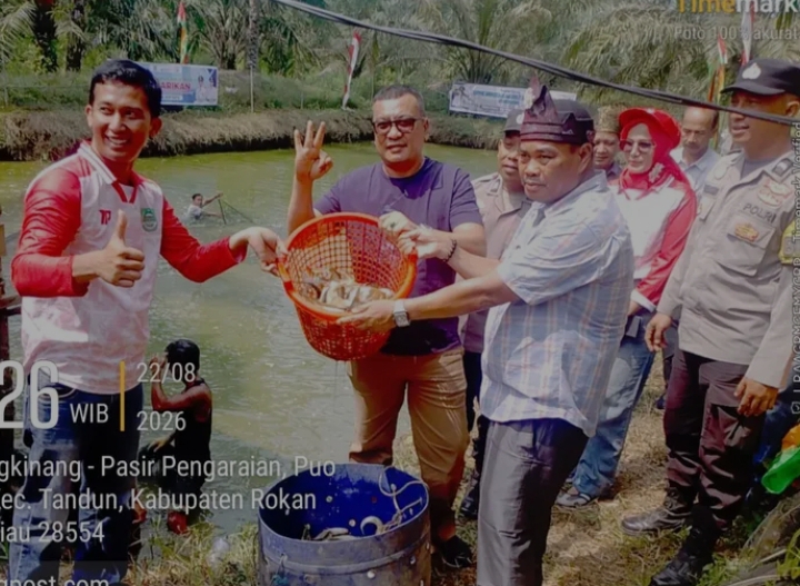 Panen Perdana 2 Ton Ikan Patin, Desa Puo Raya Tandun Buktikan Dana Desa untuk Ketahanan Pangan