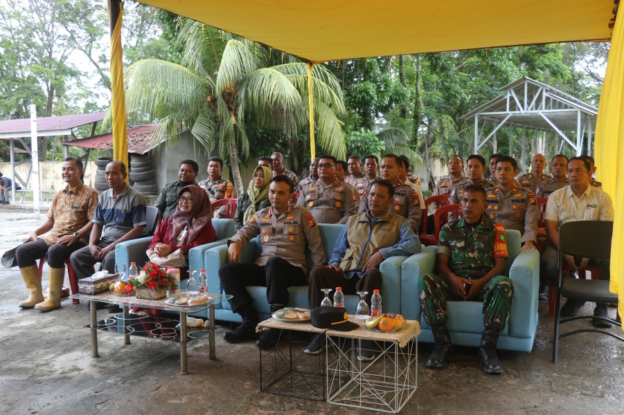 Polres Dumai Panen Raya Serentak Jagung Pipil Kuartal II 2026