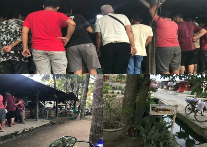 Lapor Pak Polisi !!! Pasar 4 Marelan Gang Bunga Ada Lapak Judi Sabung Ayam & Judi Kartu, Buka Sabtu & Minggu