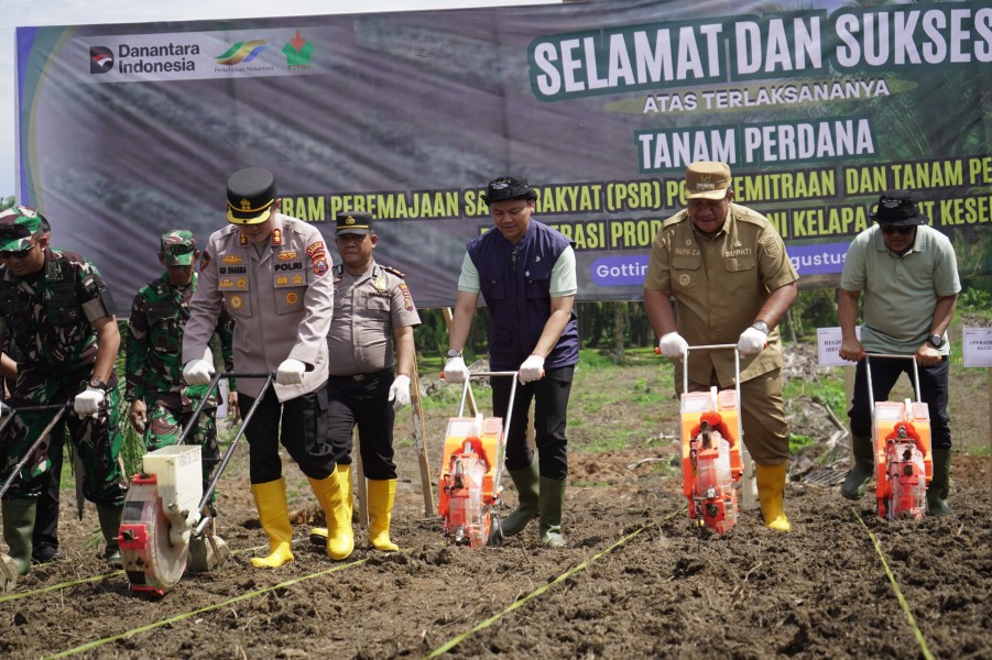 PTPN IV PalmCo Dorong Peremajaan Sawit Rakyat Disertai Tanam Padi Gogo di Asahan