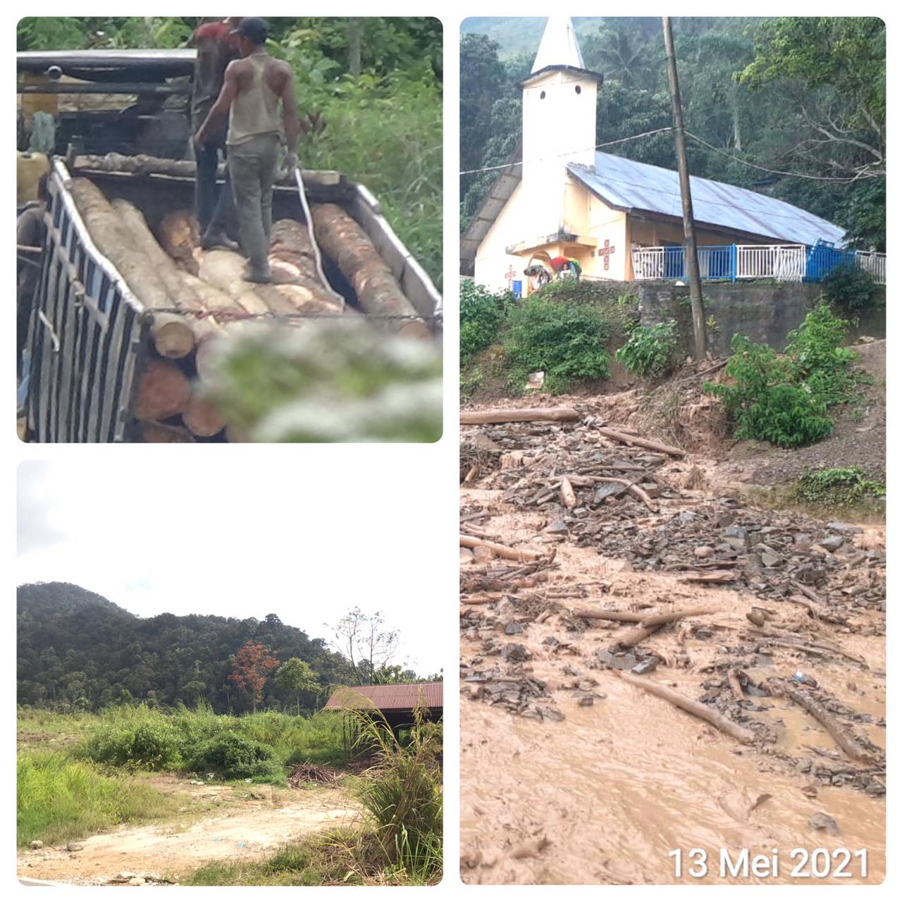 Banjir Bandang di Parapat Disebut-sebut Akibat Pembalakan Hutan Sitahoan