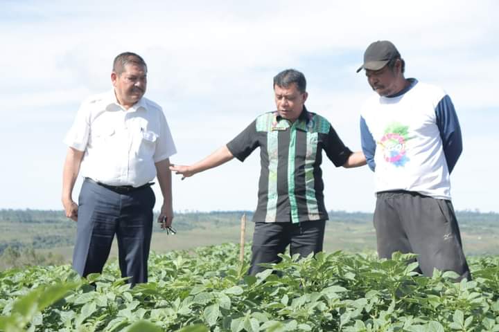 Parlindungan Purba apresiasi KPT Hortikultura Parbuluan
