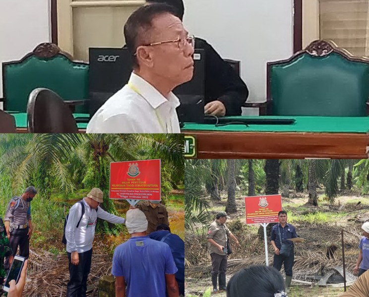 Koperasi STM masih Panen Sawit Di lahan Hutan Negara meski  Akuang Divonis 10 Tahun dan UP 797 M, Kastel Langkat : Dititip ke BKSDA