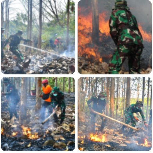 Masuki musim Kemarau, Kodim Wonogiri Gelar Latihan Penanggulangan Bencana Alam Kebakaran Hutan Lahan