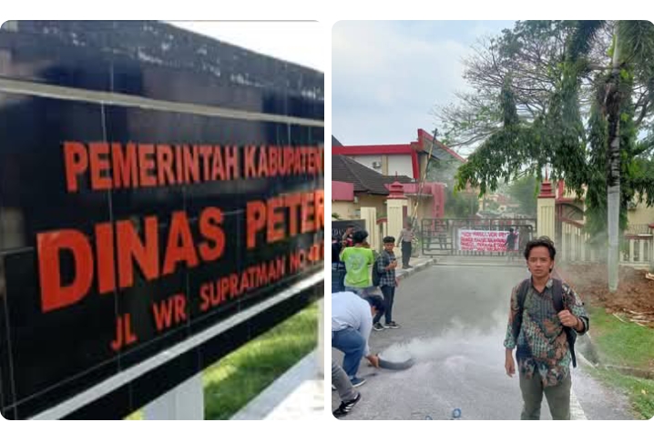 Soroti Dugaan Anggaran Fiktif Pengadaan Lembu, PASIP-SU Segera Gelar Aksi di Dinas Peternakan Labuhanbatu