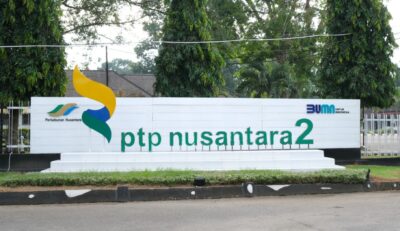 RCW Kembali Laporkan PT TDM dan PTPN I Terkait 11 Item Temuan BPK RI ke APH