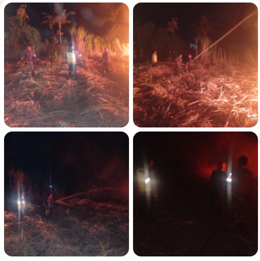 Api Mengamuk di Lahan Tebu Andong, Babinsa dan Damkar Bergerak Cepat Cegah Kebakaran Meluas