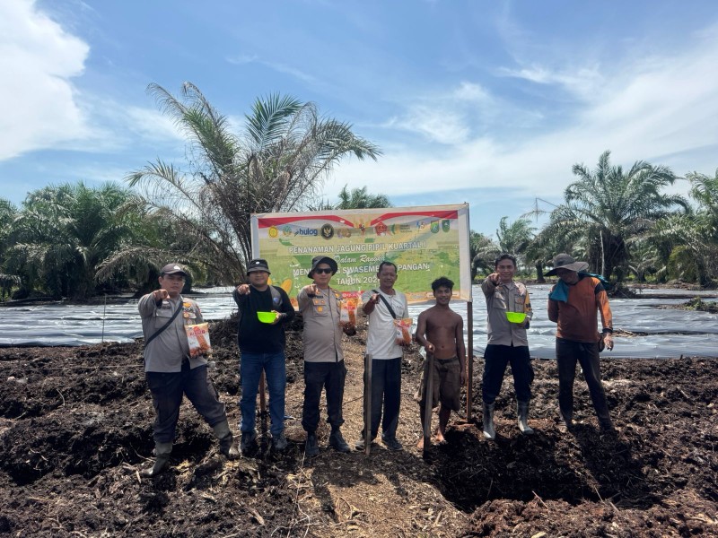 KAPOLSEK SUNGAI SEMBILAN PIMPIN LANGSUNG PENANAMAN JAGUNG PIPIL SELUAS DUA HEKTAR, DUKUNG PENUH PROGRAM KETAHANAN PANGAN NASIONAL TAHUN 2026