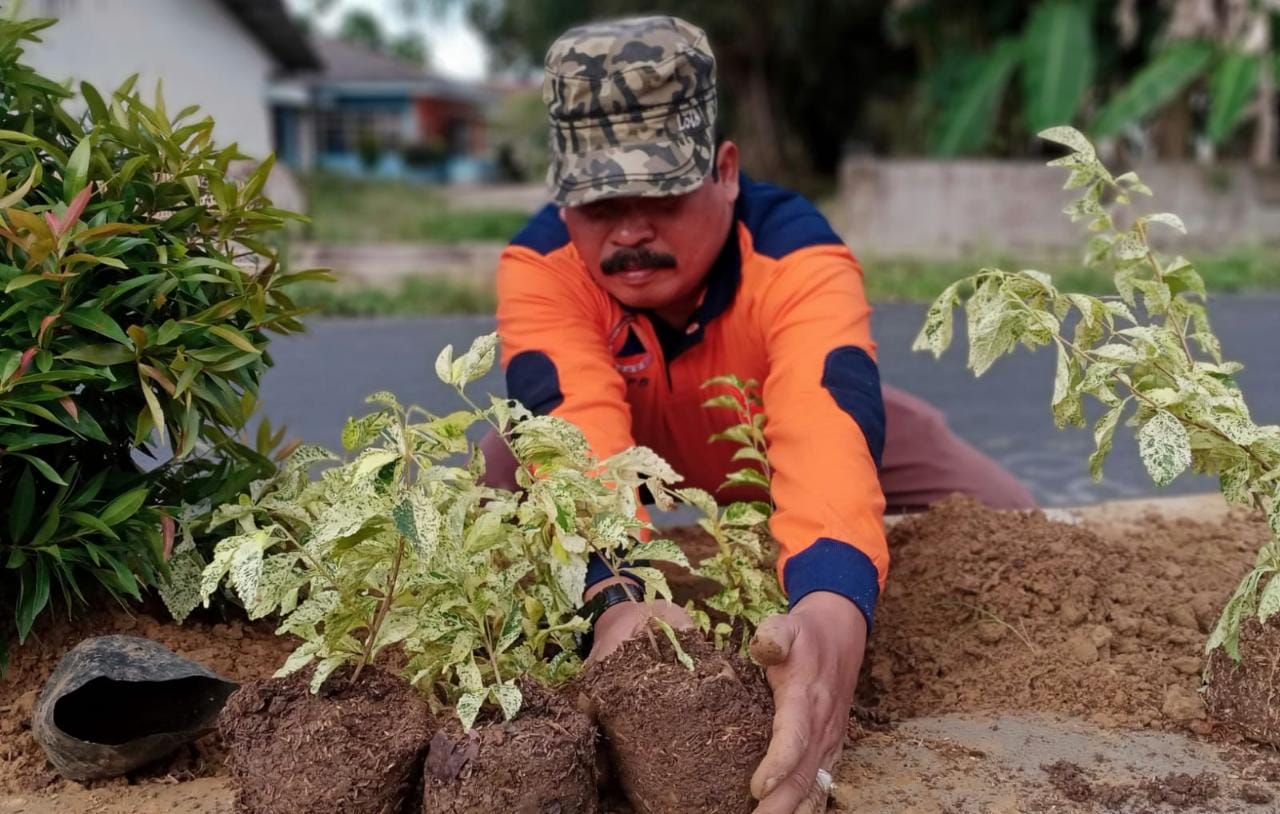 Walikota Langsa Mamfaatkan Hari Libur Untuk Perindah Median Jalan